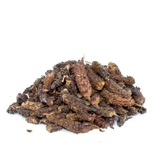 Karabaş Otu Lavandula stoechas