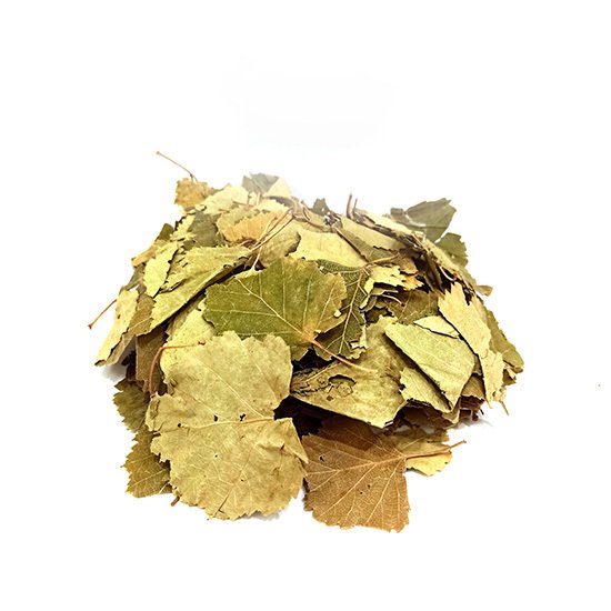 Üvez Ağacı Yaprağı Sorbus Sp.