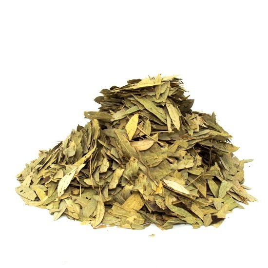 Sinameki Yaprağı Cassia acutifolia Delile