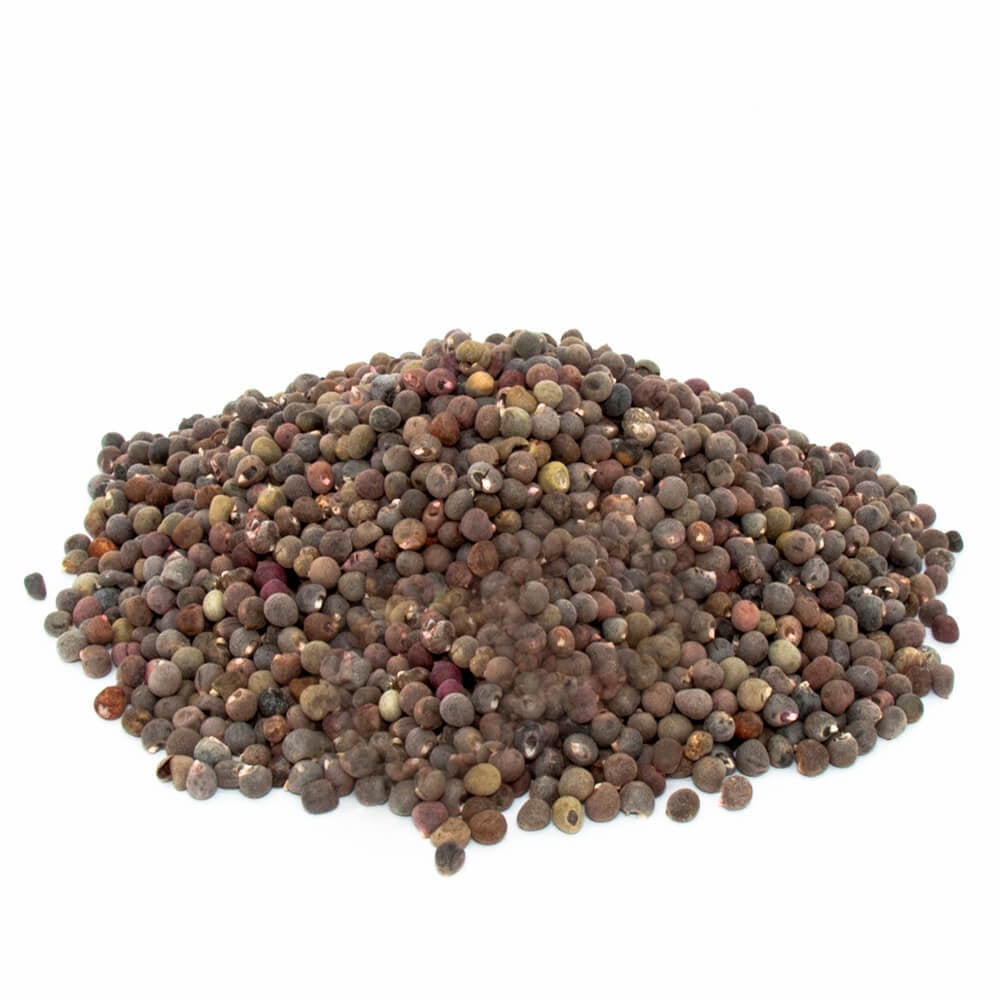 Bamya Tohumu Abelmoschus