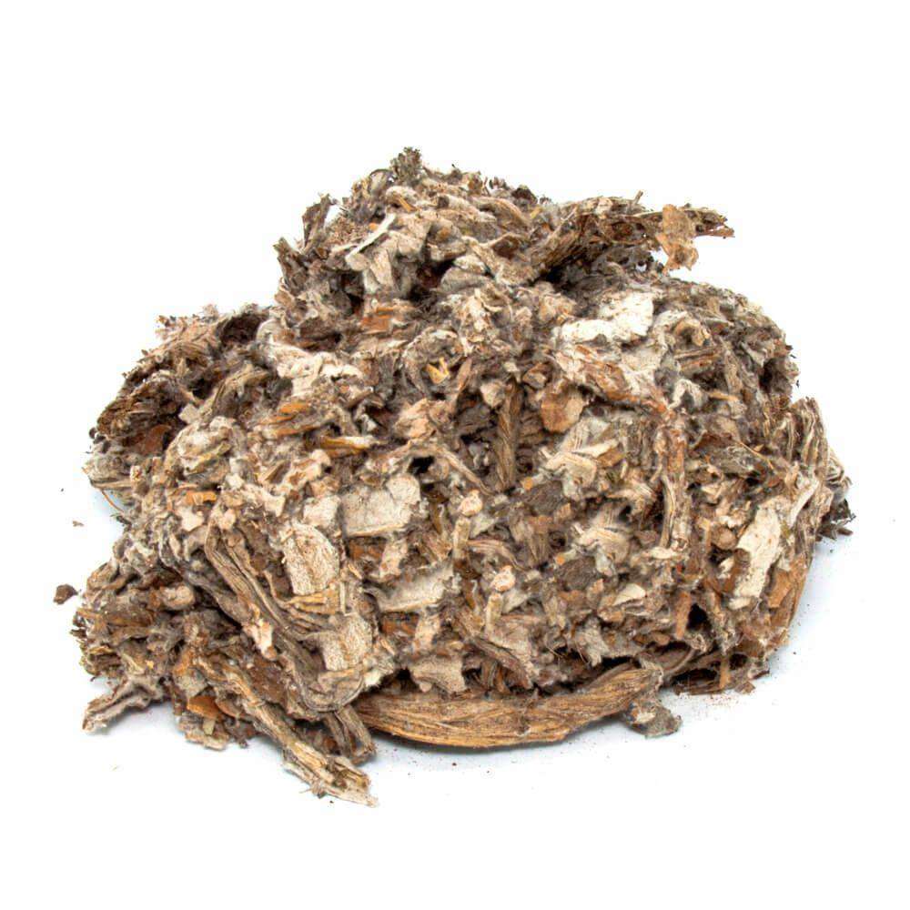 Enginar Yaprağı Cynara Scolymus