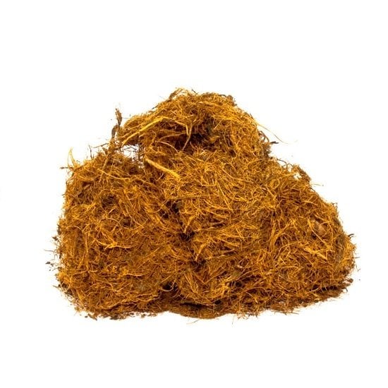 Meyan Kökü Lifi Glycyrrhiza glabra
