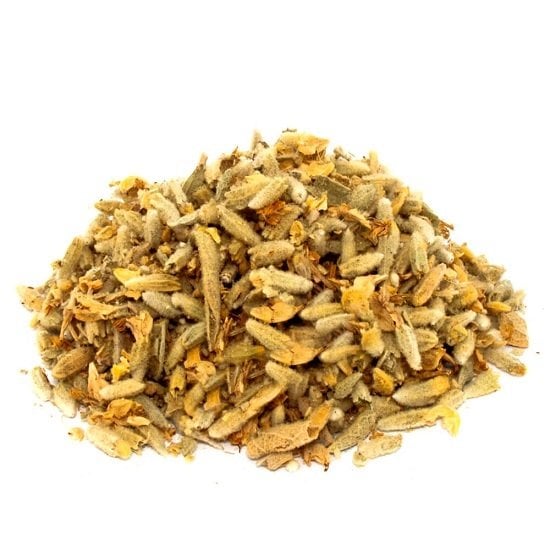 Sarı Ballıbaba Otu Lamium galeobdolon