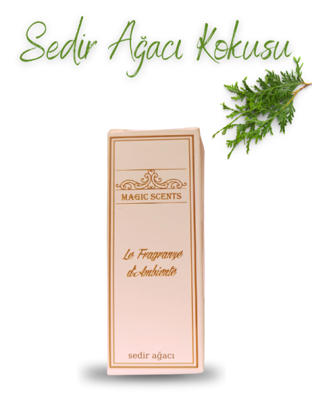 Magic Scents Sedir Ağacı Buhurdanlık Kokusu 10ml