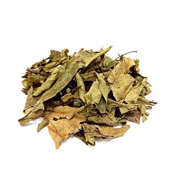 Çınar Yaprağı 20gr Platanus Orıentalıs