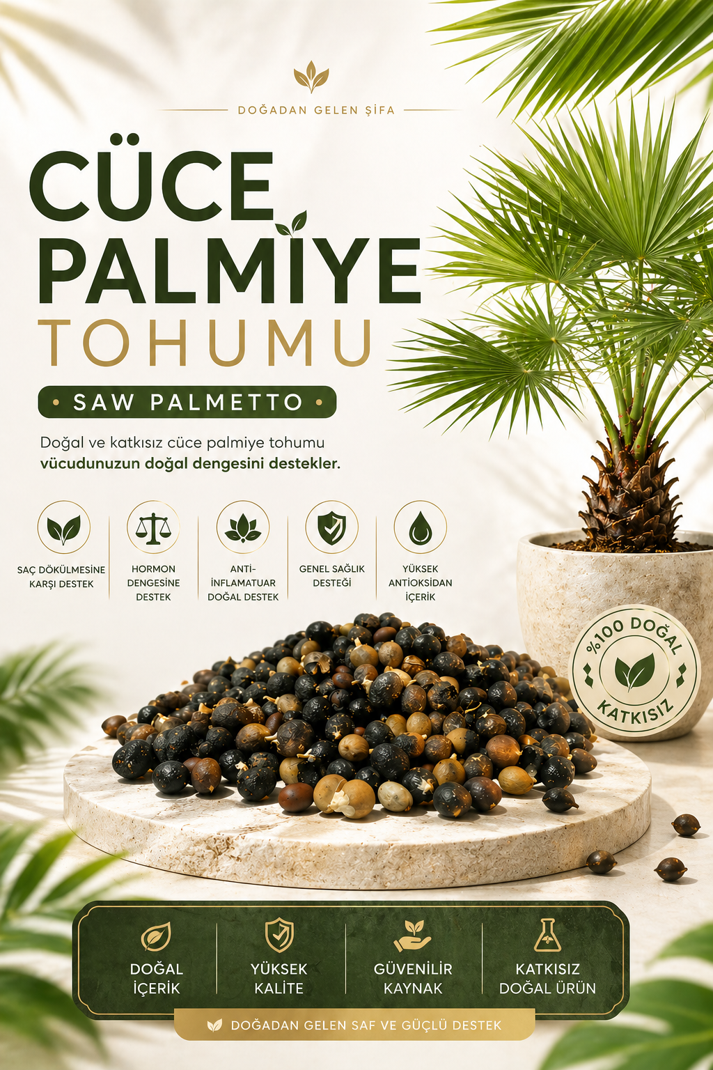 Cüce Palmiye Saw Palmetto Tohumu Saw Palmetto