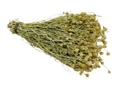 Üzerlik Otu (Demet)