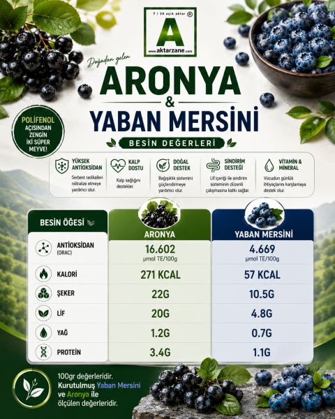 Taze Aronya Yalova Aronyası