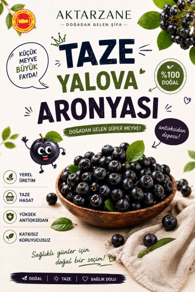Taze Aronya Yalova Aronyası