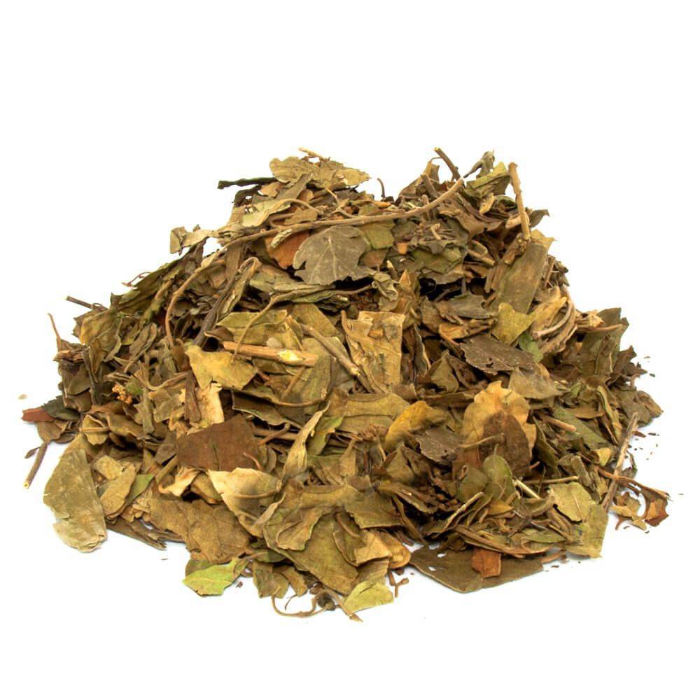 Cinnema Yaprağı (Gurmar Otu)