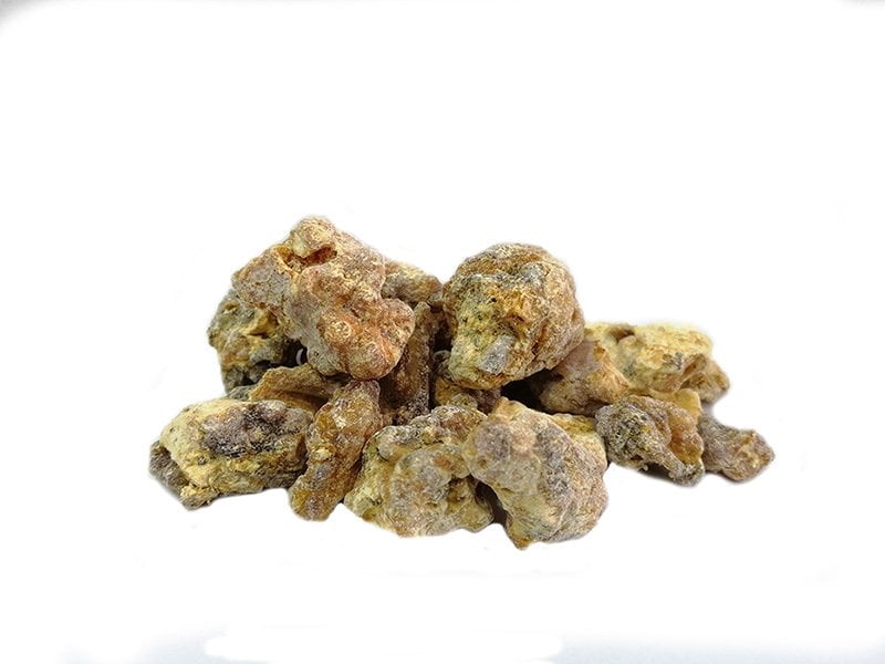 Çam Sakızı Mastic