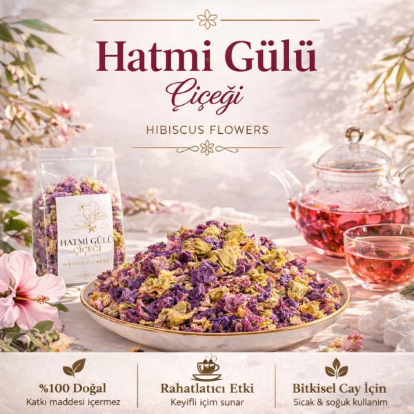 Hatmi Gülü Çiçeği Alcea rosea
