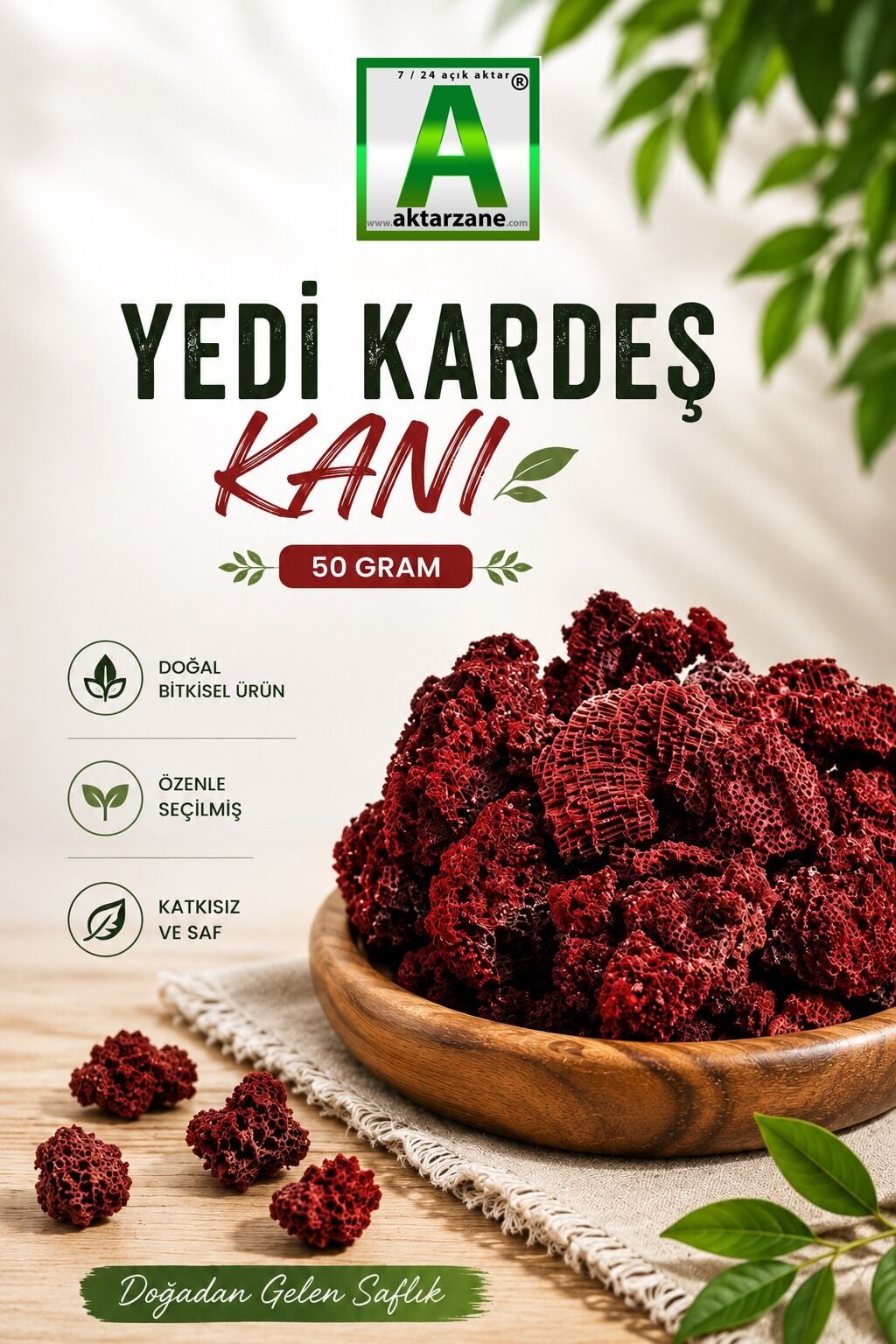 Yedi Kardeş Kanı Dracaena Deremensis