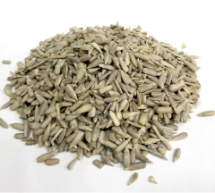 Çekirdek İçi Hellanthus Annus