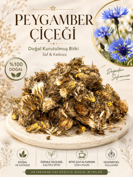 Peygamber Çiçeği Centaurea kilaea