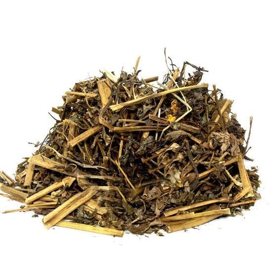 Kırlangıç Otu Casia Acutifolia
