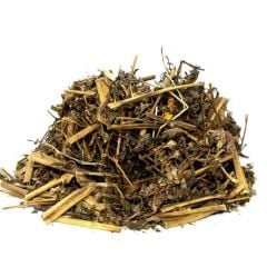 Kırlangıç Otu Casia Acutifolia