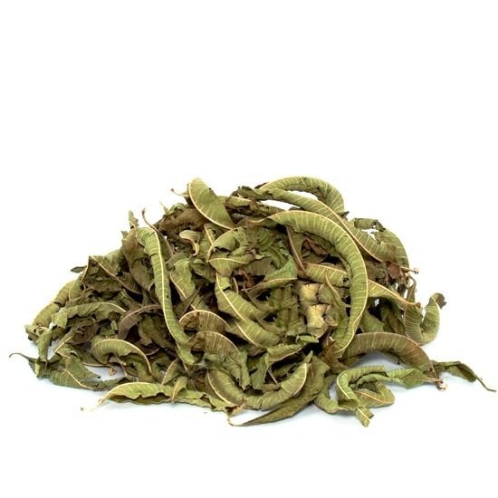 Melisa Limon Kokulu Melissa officinalis