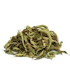 Melisa Limon Kokulu Melissa officinalis