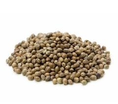 Kuş Yemi Kenevir Kendir Tohumu