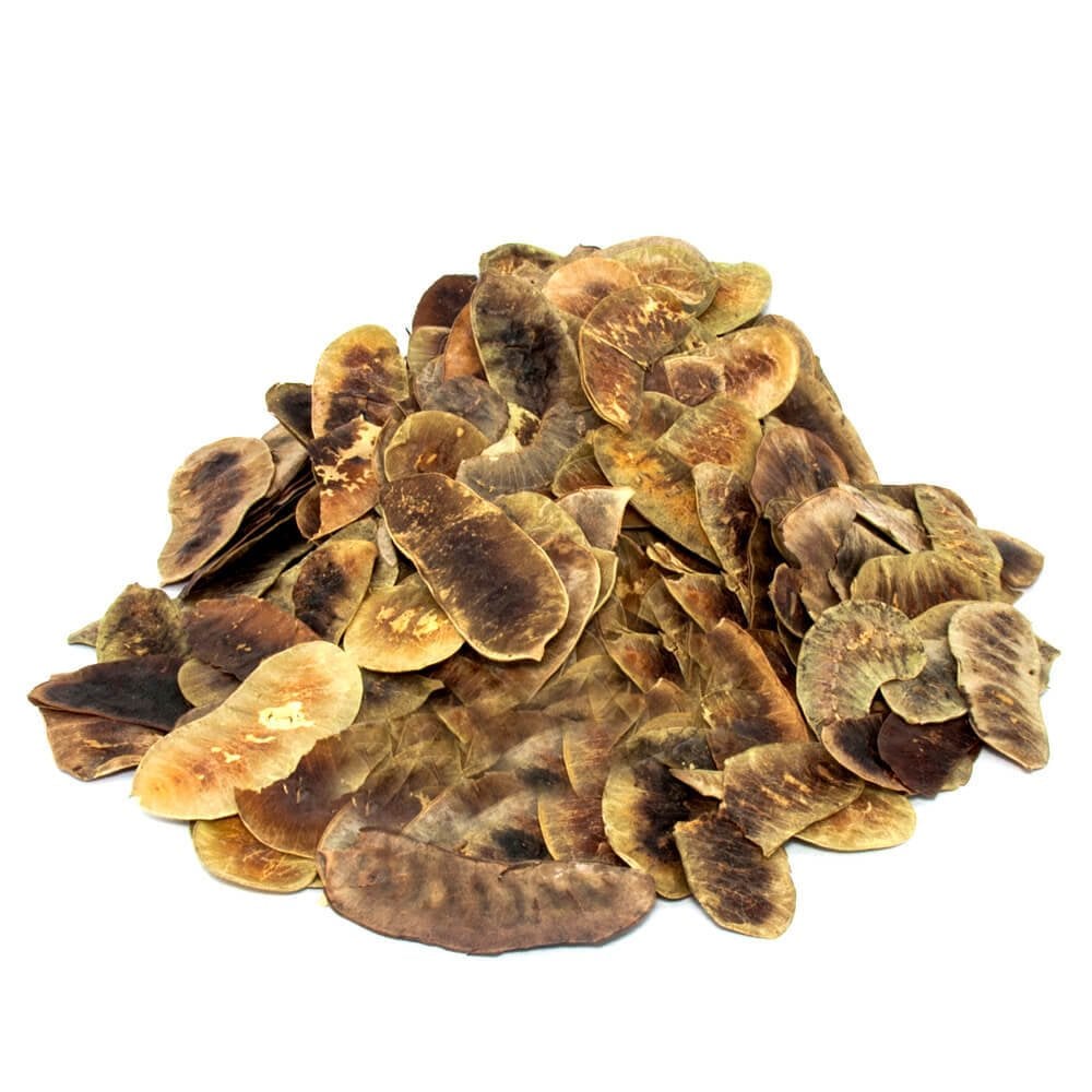 Açlık Otu Deve Gözü  Casia Acutifolia 1000GR